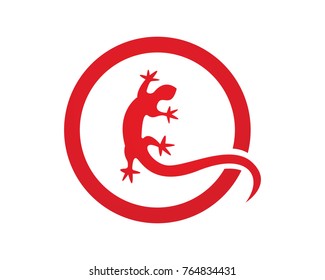 iguana logos symbols and icon