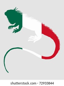 Iguana Mexico