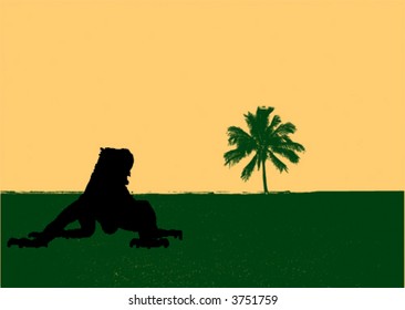 iguana on desert