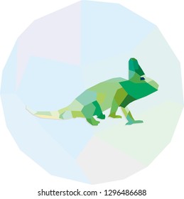 iguana polygon design illustration