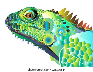 iguana portrait vector color green look unusual