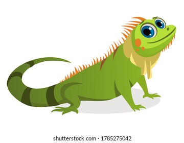 an iguana posing with smile