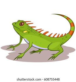 Similar Images, Stock Photos & Vectors Of Iguana Reptile Cartoon Vector 