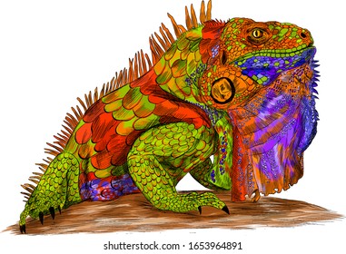 iguana reptile multicolored abstraction green orange blue details barcode graphic vector illustration