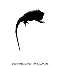 iguana silhouette, black color on white background