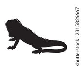iguana silhouette set collection isolated black on white background vector illustration