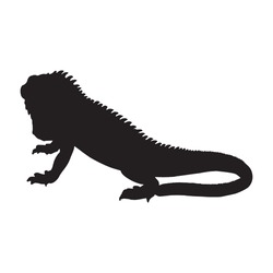 Iguana Silhouette Set Collection Isolated Black On White Background Vector Illustration
