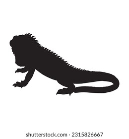iguana silhouette set collection isolated black on white background vector illustration
