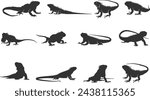 Iguana silhouette, Iguana silhouettes, Iguana vector illustration