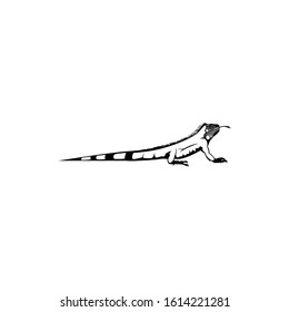 iguana silhouette. vector illustration of iguana