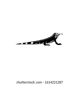 iguana silhouette. vector illustration of iguana