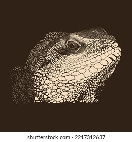 Iguana sketch illustration drawing vector animal