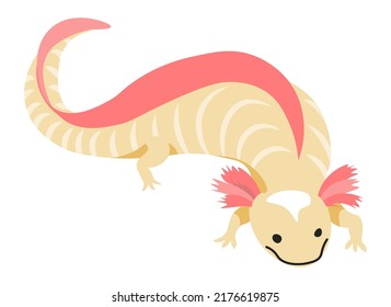 Iguana or varan, isolated reptile animal, exotic and tropical flora and fauna. Environment and ecology, habitat of creature with a long tail. Amphibian zoology, home pet. Vector in flat style