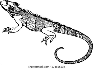 iguana. Varan. Lizard. Doodle. Iguana Tattoos. zentangle. amphibian. reptile