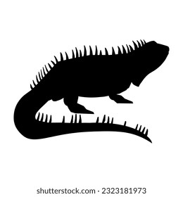 Iguana vector. Graphic iguana icon. Iguana black sign isolated on white background. Vector illustration