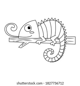 Iguana vector illustration cartoon isolated on white background. Lizard iguana laying on twig and sticking out tongue vector cartoon coloring page. 