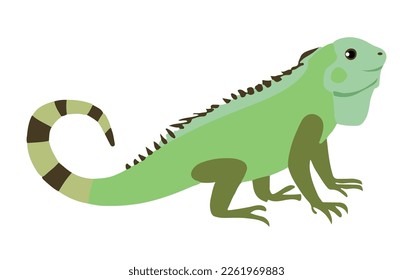 Iguana vector illustration clipart. vector illustration with isolated background.