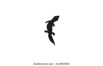 iguana vector illustration design black and white