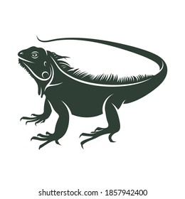 Ilustración vectorial de iguana aislada en fondo blanco. diseño creativo.