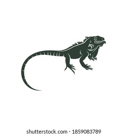 Ilustración vectorial de iguana aislada en fondo blanco. diseño creativo.