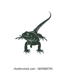 Iguana Vektorgrafik einzeln auf weißem Hintergrund. kreatives Design.