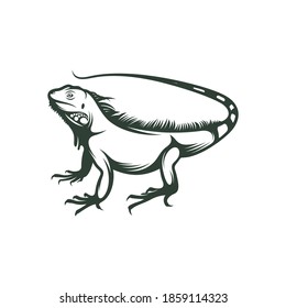 Iguana vector illustration isolated on white background. creative design.