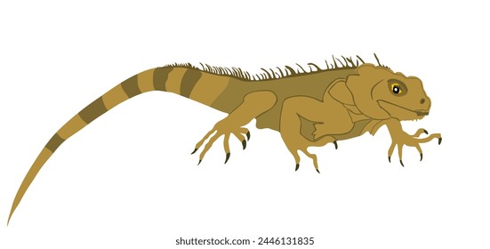 Iguana vector illustration isolated on white background. Lizard animal. Modern pet.