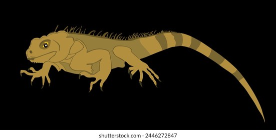 Iguana vector illustration isolated on black background. Lizard animal. Modern pet.