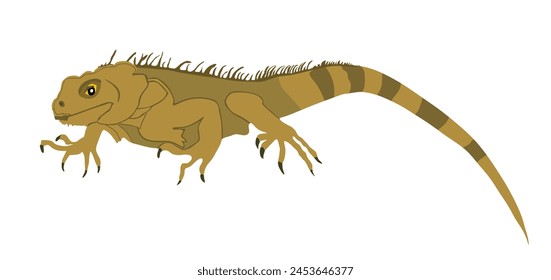 Iguana vector illustration isolated on white background. Lizard animal. Modern pet.