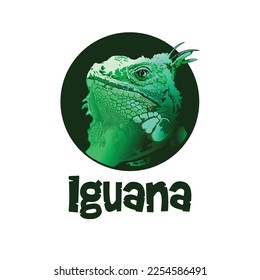 diseño de imagen de vector de iguana