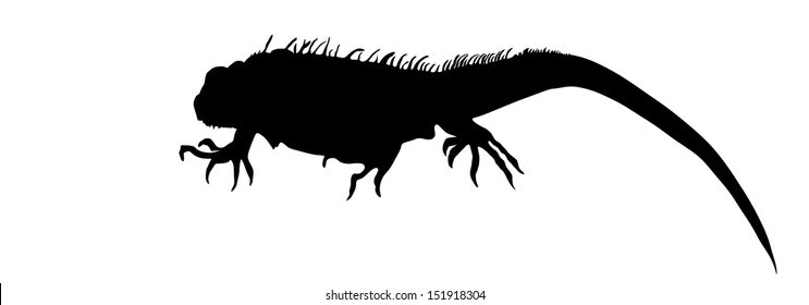 Iguana vector silhouette illustration isolated on white background. Lizard animal. Modern pet. Iguana shape shadow.