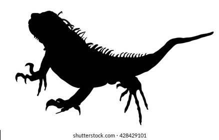 Iguana vector silhouette illustration isolated on white background. Lizard animal. Modern pet. Iguana shape shadow.