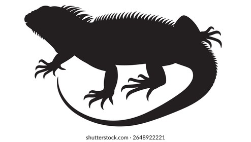 Silhueta de vetor de Iguana no fundo branco Ilustração de animal réptil. silhueta de iguana, Silhueta gráfica de vetor de um dragão barbudo.