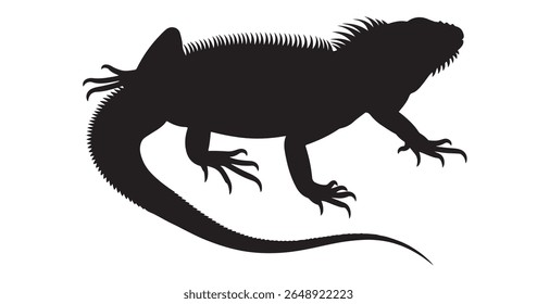 Silhueta de vetor de Iguana no fundo branco Ilustração de animal réptil. silhueta de iguana, Silhueta gráfica de vetor de um dragão barbudo.