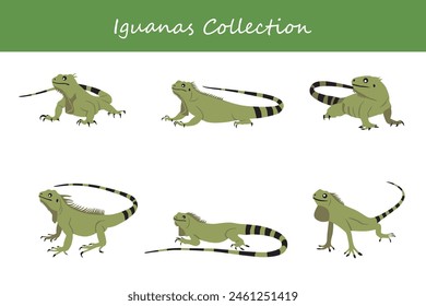 Iguanas collection. Iguanas in different poses. Vector illustration.