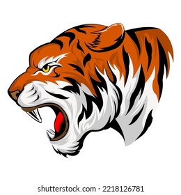IIlustration of a tiger head vector