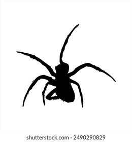 IIlustration Vector graphics of Spider icon
