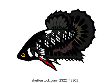 ikan cupang or betta fish, isolated at dark background