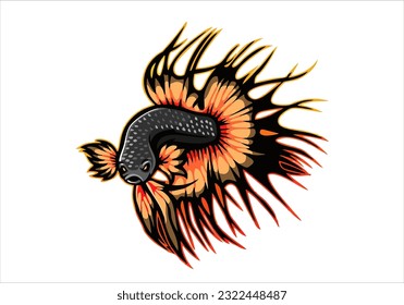 ikan cupang or betta fish, isolated at dark background