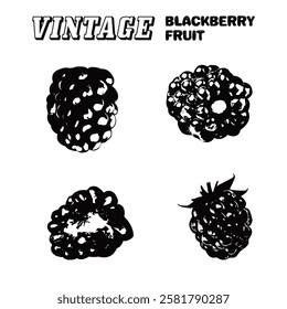 ikon buah blackberry. ikon vektor blackberry vintage untuk keperluan pemrograman dan gambar