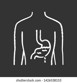 Ill stomach chalk icon. Gastritis. Sore human organ. People disease. Unhealthy digestive system. Sick internal body part. Gastrointestinal tract. Isolated vector chalkboard illustration