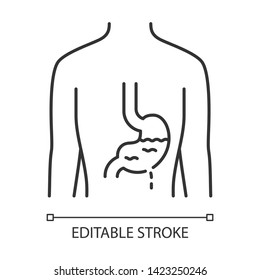 Ill stomach linear icon. Gastritis. Sore human organ. Unhealthy digestive system.  Gastrointestinal tract. Thin line illustration. Contour symbol. Vector isolated outline drawing. Editable stroke