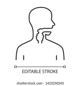 Ill throat  linear icon. Angina, tonsillitis. Upper section of alimentary canal.  Gastrointestinal tract. Thin line illustration. Contour symbol. Vector isolated outline drawing. Editable stroke