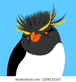 

Ill ustration southern rockhopper penguin Eudyptes chrysocome
bird