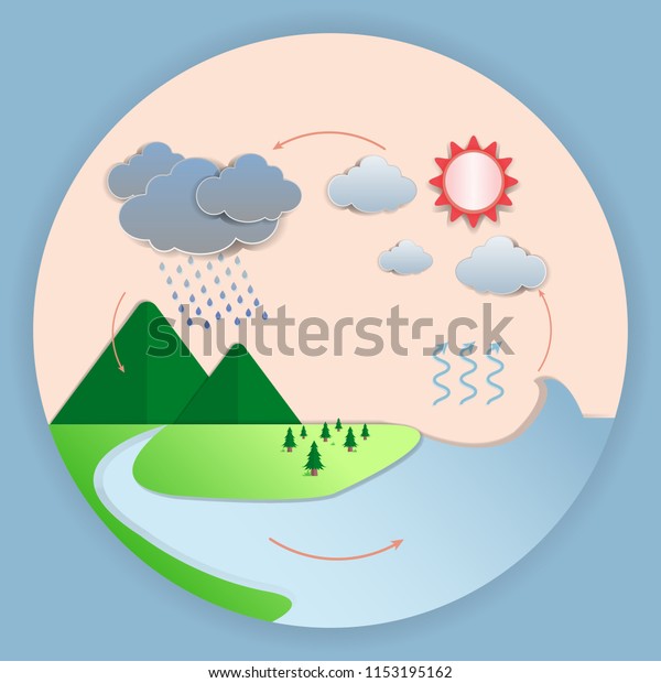 Illastration Water Cycle Vector Design Stock Vector (Royalty Free ...