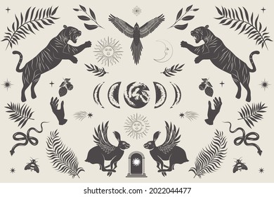 Illiustrated Poster with Wild animals and mythology creature, plant and astrology element. Modern Trendy poster. Editable Vector Illustration.