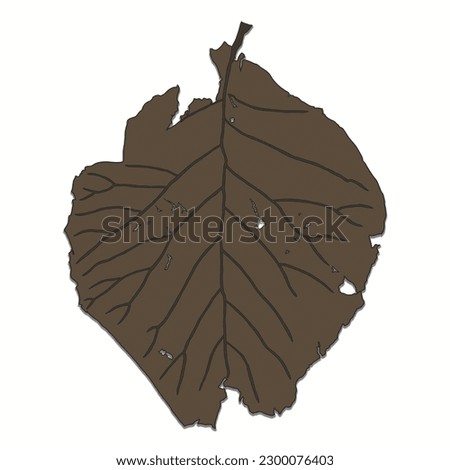 illsutration of brown dried leaf