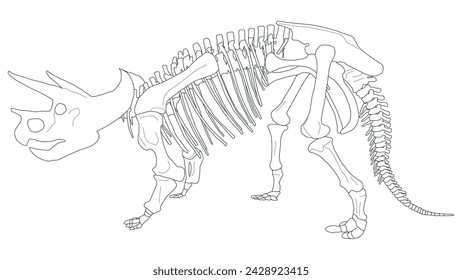 An Illustarion a Triceratops Skeleton