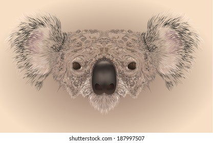 Illustartion of koala bear face in realistic manner