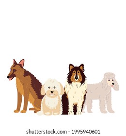 illustation of pet grooming for content, banner, graphic and web. Vector illustration of various breeds of dogs, such as mini poodle, collie, german shepherd dog and maltipoo. Isolated on white.